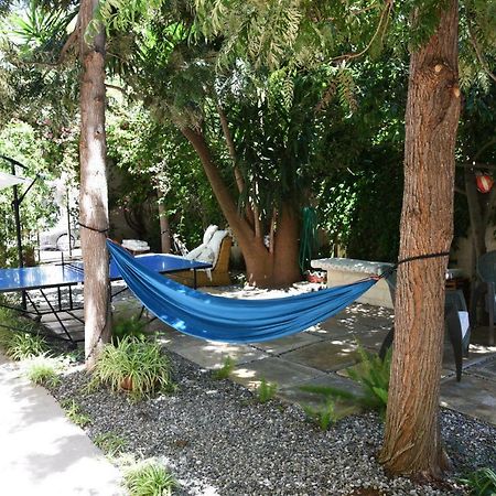 B&B Al Vecchio Glicine Torre Canne Εξωτερικό φωτογραφία