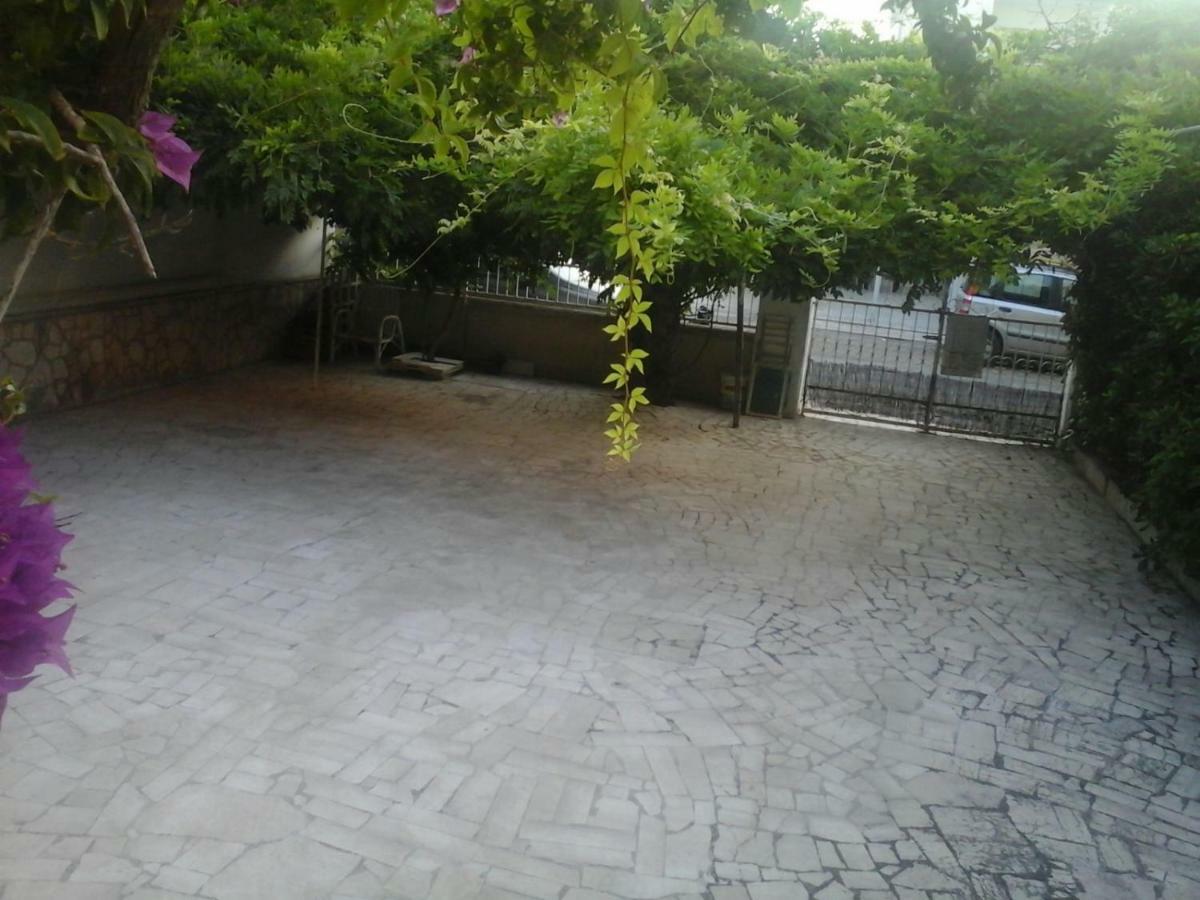 B&B Al Vecchio Glicine Torre Canne Εξωτερικό φωτογραφία